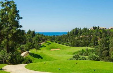 Divina Home Apartments - Photo 80