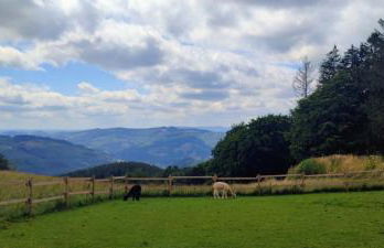 Modernes Rhombushaus im Naturparadies Sauerland - Foto 18