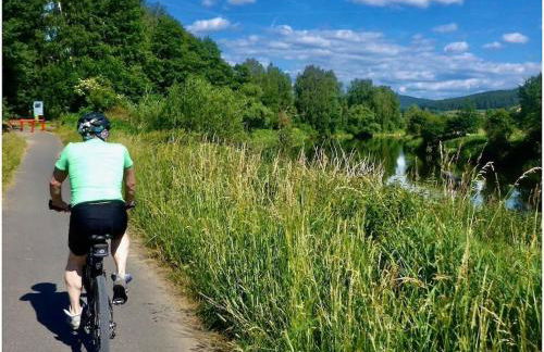 Sonnenblick Comfortable holiday residence - Photo 38