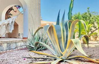 Villa Haleakala - Photo 20