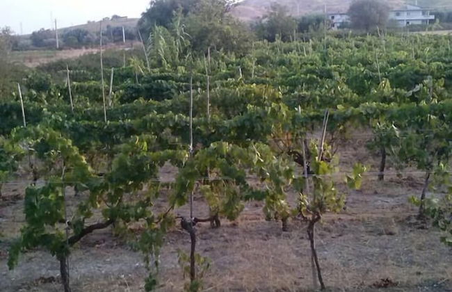 Agriturismo Nereide Ceratti - Foto 38