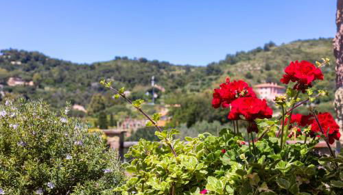 Suite Eleven Tuscany Apartments - Foto 4, Garden, Garden view