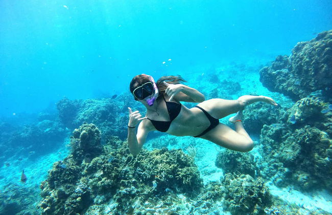 Snorkelling in a Turtle Sanctuary - Photo 8