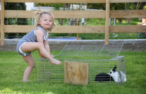 Haus Bayrhof - Foto 30