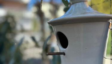 Le case di Torto - Foto 3