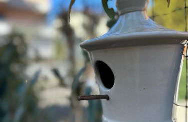 Le case di Torto - Foto 3