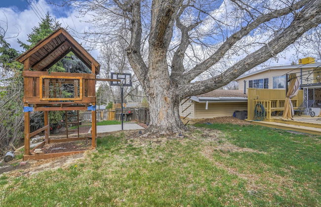 4brping Pongnearby Parksbasket Ball - Photo 45