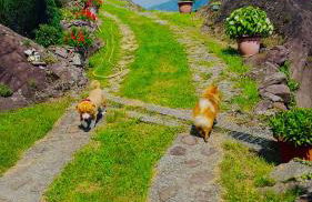 Casa Vacanze La CASA DEL SOLE - Foto 33