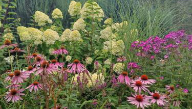 Siedlisko nad Stawem - Foto 2, Garden, Garden view