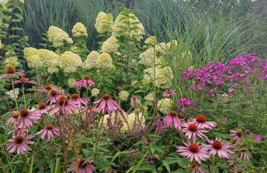 Siedlisko nad Stawem - Foto 2