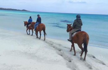 Appartamento Residenziale Trilocale Aresula San Teodoro - Foto 20