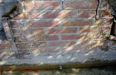 NiFe Tiny House - Secret Garden - Photo 30