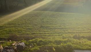 Agriturismo iOlive Tuscany appartamento LECCINO - Foto 3, Garden view