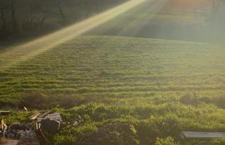 Agriturismo iOlive Tuscany appartamento LECCINO - Foto 3