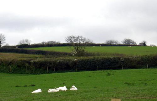 Bowbeer Barn - Foto 19