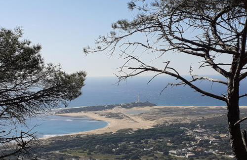 Los Balcones de Cádiz - Photo 37