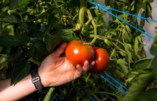 Cascina Veja - Foto 67