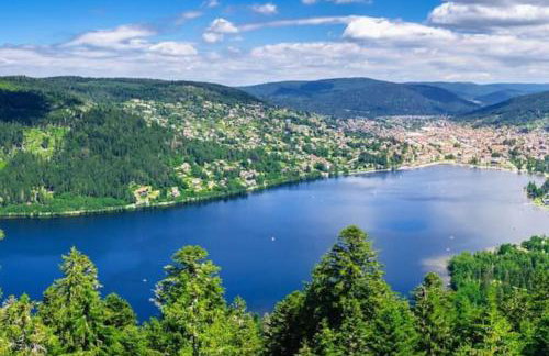 RELAX CHALET Nature Retreat - isolé sur 3 hectares - confort de LUXE - maison entière 150m2 - près de La Bresse - Foto 67