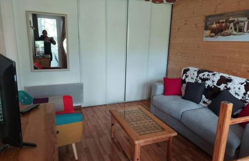 Charmant T1bis pied des pistes à Vars les Claux Résidence les Fibieres - Foto 11