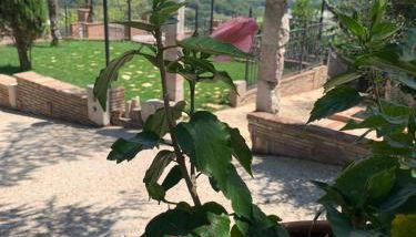 Il Colle di Torre Orsina - Foto 5, Garden