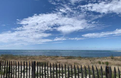 La Tomate Surfeuse 2 - Foto 9