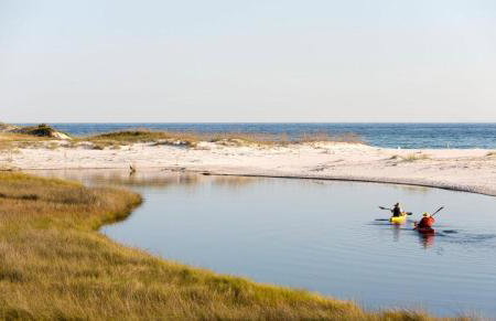 2 Blocks to the Beach! Pool & Golf Cart, Sleeps 21 - Foto 4