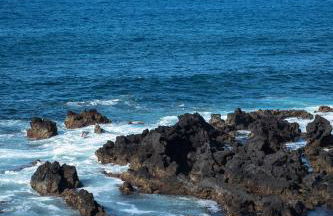 ENTRE MUROS - Turismo Rural - Casa com jardim e acesso direto ao mar - Photo 72