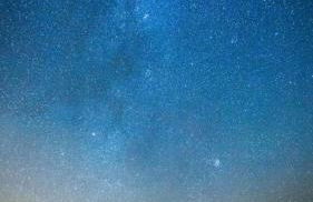 The Coorie - Foto 25