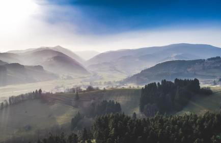 Boutique Apartments Kirchzarten - Foto 31