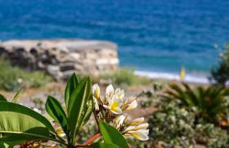 Marina apartments - Foto 19