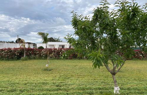 Villa Marinezzi - Foto 55