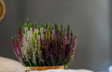 Otulina Mazur - Całoroczny dom w otoczeniu przyrody - Foto 7