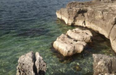 Kavran Relax home - Foto 6