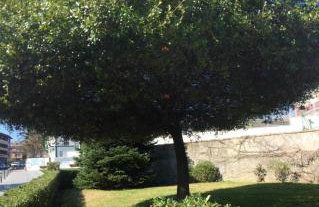 Getxo, parking, wifi, metro - Foto 17