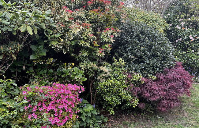 Beautiful Cottage Near Harlech With Ocean Views - Foto 32