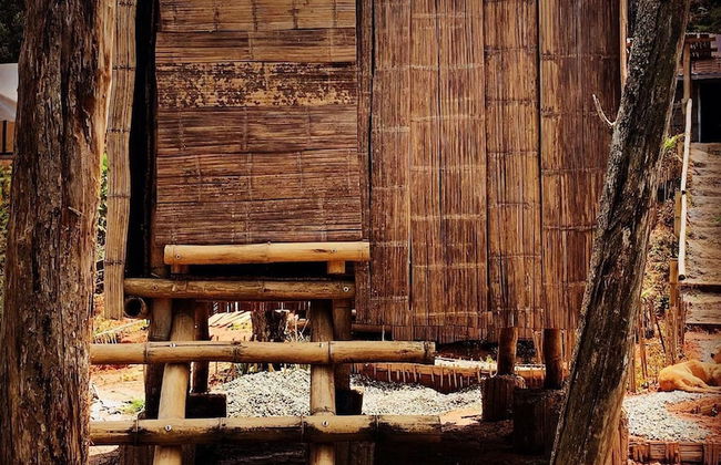 San Vicente - Foto 6