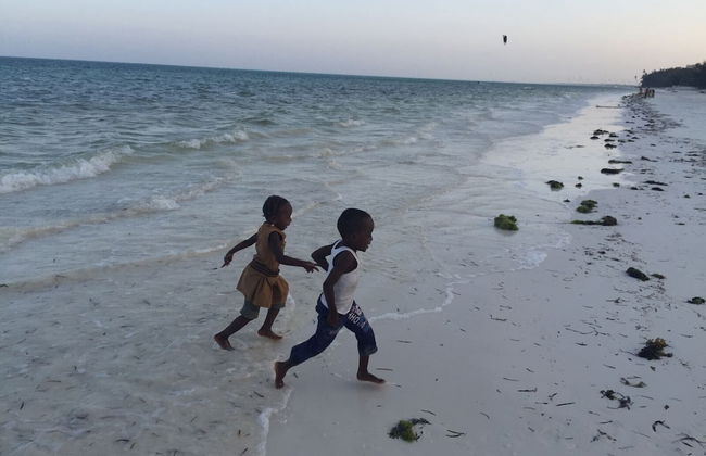 Modern Beach House, Excellent Beachfront, Private Chef, Pool - Foto 5