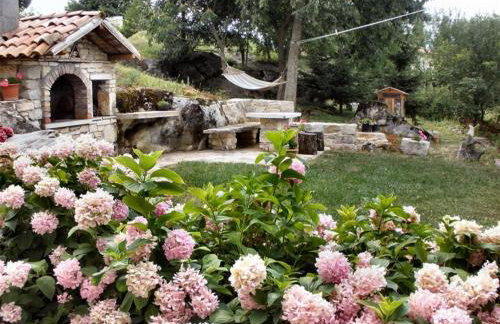 apartman Vojskovic - Foto 1