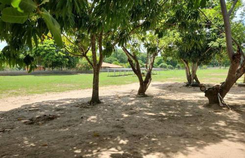 Sítio zona rural de Teresina - Foto 62