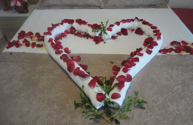 Grupo Vip Landscape Fortaleza - Photo 35