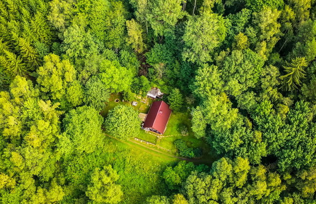 3 bedroom House in Lipno nad Vltavou with garden - Photo 12