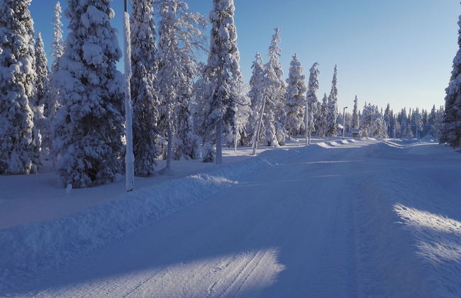 Rukantrio - Photo 67