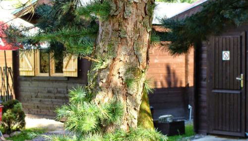 Bike Camping - Foto 2