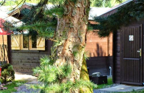 Bike Camping - Foto 2