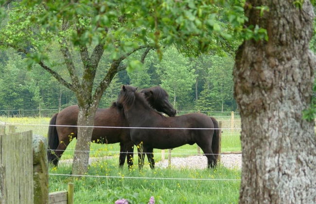 1 Fuchskreuzhof Comfortable Holiday Residence - Foto 25