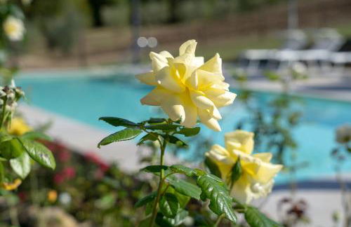 Agriturismo Montelovesco - Foto 76