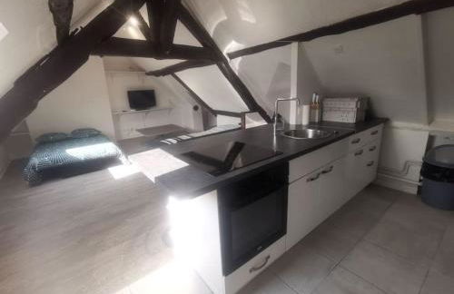 La Maison Gauloise - Asterix CDG Paris - Foto 23