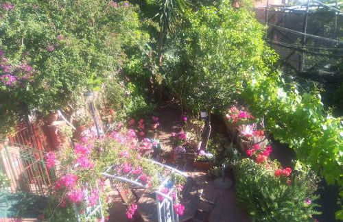 Isabella Massalubrense - Photo 32