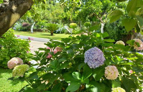 Casa MaLu Boutique Apartments - No 2 - Photo 26