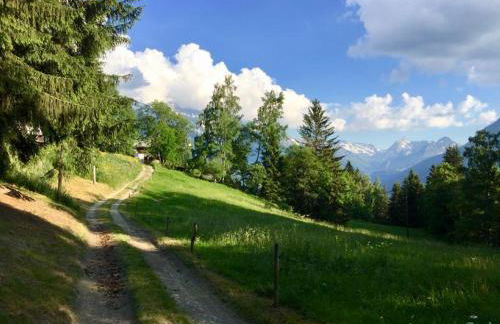 Appartement T2+cabine indépendante au départ des télécabines Saint-Gervais/Bettex/Mont d’Arbois - Foto 51
